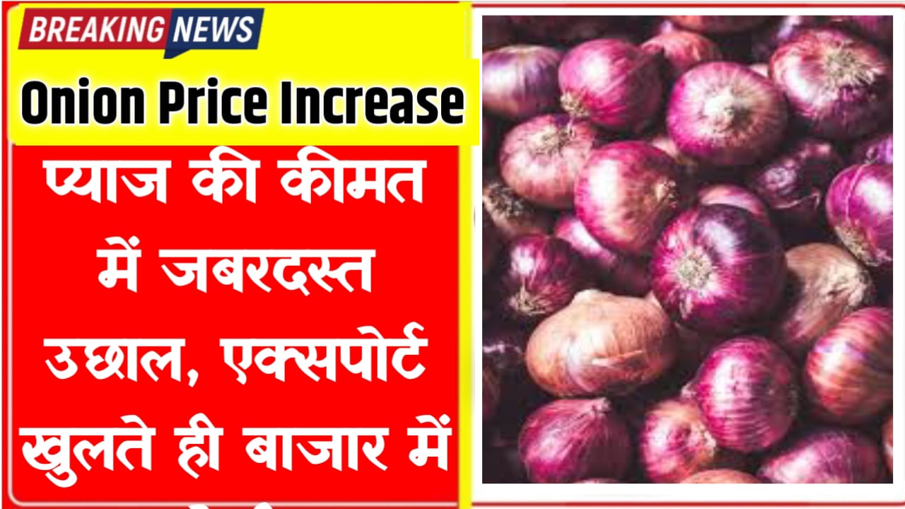 Onion Price Increase 2026